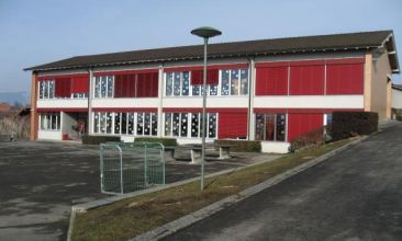 PrimarSchule Ins